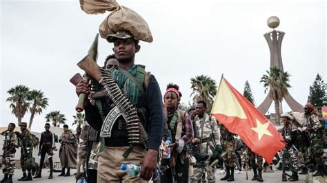  Tigray War，一場關於權力和民族自決的衝突